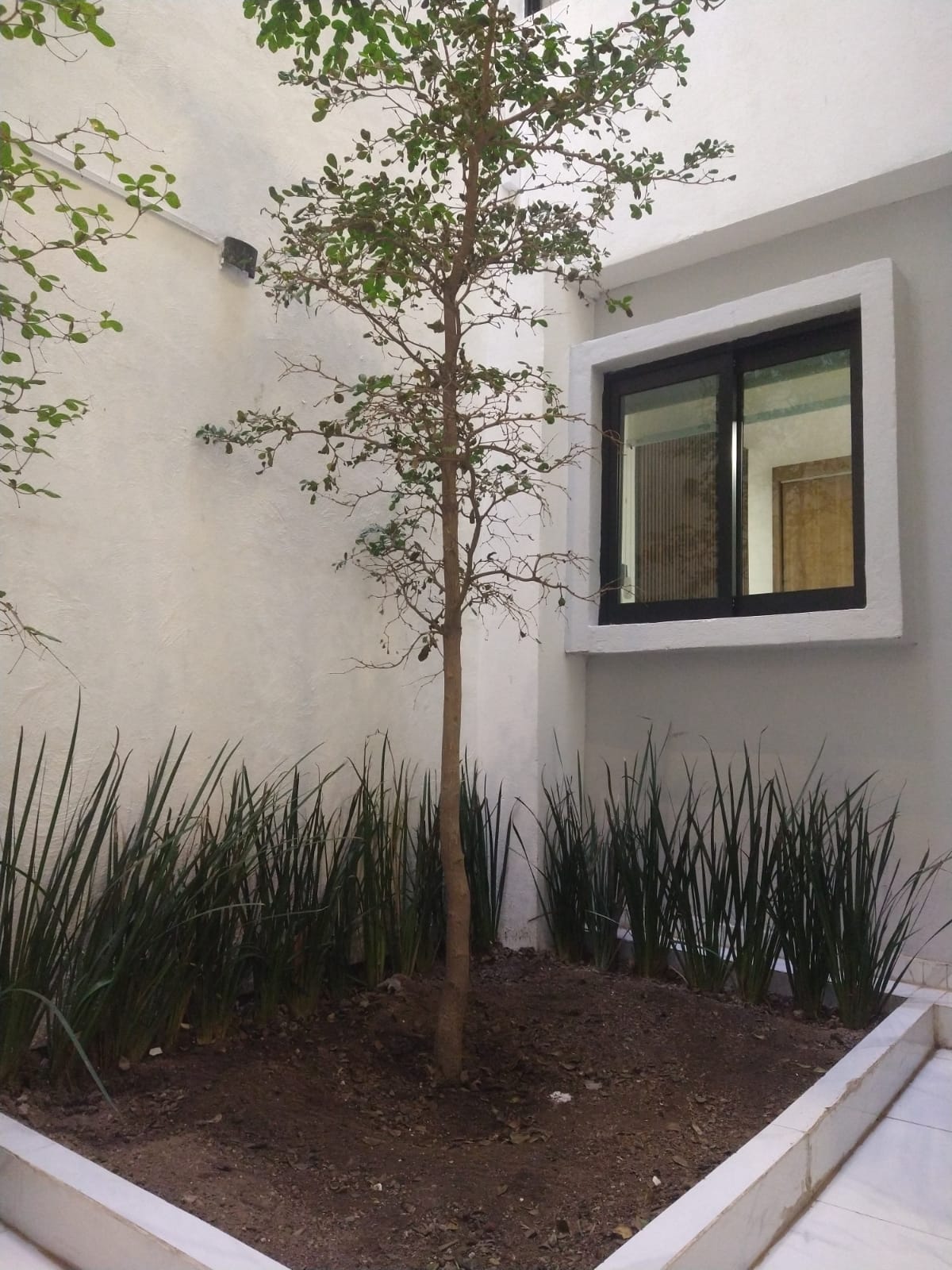 Gimnasio con equipo moderno